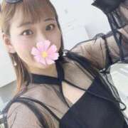 ヒメ日記 2025/09/01 12:10 投稿 ともか ドッチパイモミ 越谷店