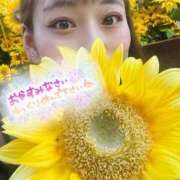 ヒメ日記 2025/09/05 21:50 投稿 ともか ドッチパイモミ 越谷店