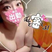 ヒメ日記 2025/11/15 13:20 投稿 ともか ドッチパイモミ 越谷店