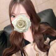 ヒメ日記 2025/10/29 11:16 投稿 【るい】おしとやかなビーナス♪ SAPPORO ばつぐんnet