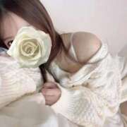 ヒメ日記 2025/11/12 12:36 投稿 【るい】おしとやかなビーナス♪ SAPPORO ばつぐんnet