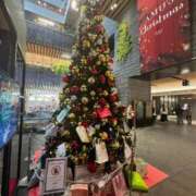 ヒメ日記 2025/12/24 16:51 投稿 はるか 尼妻（あまづま）