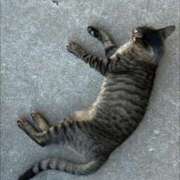 みりあ【沖縄美女電撃入店】 出勤＆向かってます🚗 Mode（モード）◆理想の彼女◆