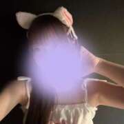 はる ねこ ハピネス東京