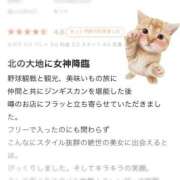 ヒメ日記 2025/08/31 23:19 投稿 ゆうり アイドルドリーム