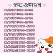 ヒメ日記 2025/12/01 20:23 投稿 ゆうり アイドルドリーム