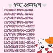 ヒメ日記 2025/12/09 19:39 投稿 ゆうり アイドルドリーム