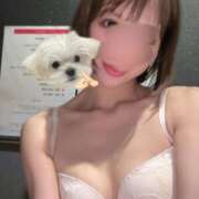 ヒメ日記 2026/03/21 21:39 投稿 ゆうり アイドルドリーム