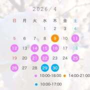 ヒメ日記 2026/04/07 14:23 投稿 ゆうり アイドルドリーム