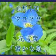 ヒメ日記 2025/09/01 07:57 投稿 愛梨（あいり） 不倫快感