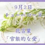 ヒメ日記 2025/09/02 08:07 投稿 愛梨（あいり） 不倫快感