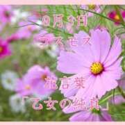 ヒメ日記 2025/09/03 08:07 投稿 愛梨（あいり） 不倫快感