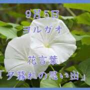 ヒメ日記 2025/09/05 08:07 投稿 愛梨（あいり） 不倫快感