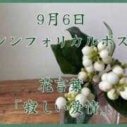 ヒメ日記 2025/09/06 10:37 投稿 愛梨（あいり） 不倫快感