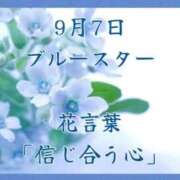 ヒメ日記 2025/09/07 22:37 投稿 愛梨（あいり） 不倫快感