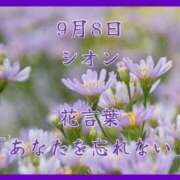 ヒメ日記 2025/09/08 07:57 投稿 愛梨（あいり） 不倫快感