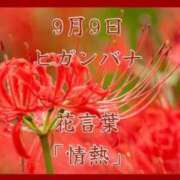 ヒメ日記 2025/09/09 08:44 投稿 愛梨（あいり） 不倫快感