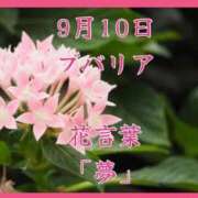 ヒメ日記 2025/09/10 08:07 投稿 愛梨（あいり） 不倫快感