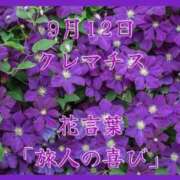 ヒメ日記 2025/09/12 08:47 投稿 愛梨（あいり） 不倫快感