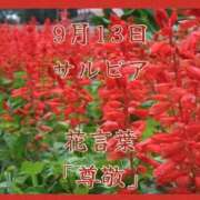 ヒメ日記 2025/09/13 09:27 投稿 愛梨（あいり） 不倫快感