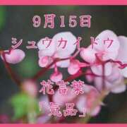 ヒメ日記 2025/09/15 13:37 投稿 愛梨（あいり） 不倫快感