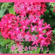 ヒメ日記 2025/09/16 08:17 投稿 愛梨（あいり） 不倫快感