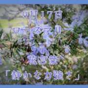 ヒメ日記 2025/09/17 08:17 投稿 愛梨（あいり） 不倫快感
