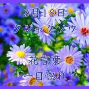 ヒメ日記 2025/09/18 08:07 投稿 愛梨（あいり） 不倫快感