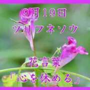 ヒメ日記 2025/09/19 08:17 投稿 愛梨（あいり） 不倫快感