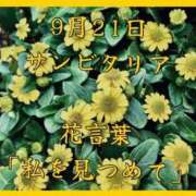 ヒメ日記 2025/09/21 10:27 投稿 愛梨（あいり） 不倫快感
