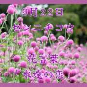 ヒメ日記 2025/09/22 08:07 投稿 愛梨（あいり） 不倫快感