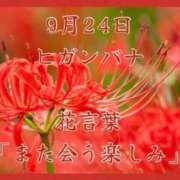 ヒメ日記 2025/09/24 08:07 投稿 愛梨（あいり） 不倫快感