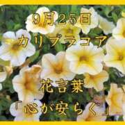 ヒメ日記 2025/09/25 08:07 投稿 愛梨（あいり） 不倫快感
