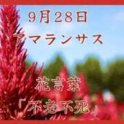 ヒメ日記 2025/09/28 20:37 投稿 愛梨（あいり） 不倫快感