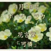 ヒメ日記 2025/09/29 08:17 投稿 愛梨（あいり） 不倫快感
