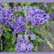 ヒメ日記 2025/10/01 08:17 投稿 愛梨（あいり） 不倫快感