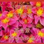 ヒメ日記 2025/10/02 07:57 投稿 愛梨（あいり） 不倫快感