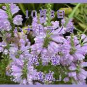 ヒメ日記 2025/10/03 08:07 投稿 愛梨（あいり） 不倫快感