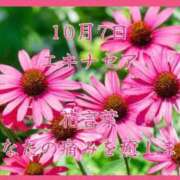 ヒメ日記 2025/10/07 08:17 投稿 愛梨（あいり） 不倫快感