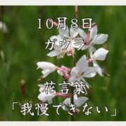 ヒメ日記 2025/10/08 08:07 投稿 愛梨（あいり） 不倫快感