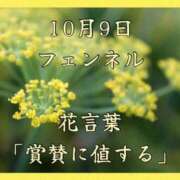 ヒメ日記 2025/10/09 08:17 投稿 愛梨（あいり） 不倫快感