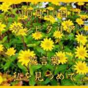 ヒメ日記 2025/10/10 08:07 投稿 愛梨（あいり） 不倫快感