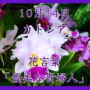 ヒメ日記 2025/10/14 08:07 投稿 愛梨（あいり） 不倫快感