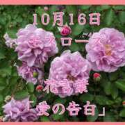 ヒメ日記 2025/10/16 08:49 投稿 愛梨（あいり） 不倫快感