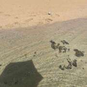 ヒメ日記 2025/09/23 16:02 投稿 つばき an_an（アンアン）