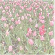 ヒメ日記 2026/04/22 10:20 投稿 あんな 僕らのぽっちゃリーノin越谷