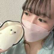 ヒメ日記 2025/10/05 16:10 投稿 あんな 僕らのぽっちゃリーノin野田