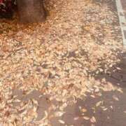 ヒメ日記 2025/12/03 17:20 投稿 月城美玲(つきしろみれい) 鶯谷ナンバーワン