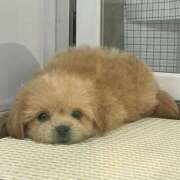 ヒメ日記 2025/08/23 07:21 投稿 みれい【説明不要の超美女】 Mode（モード）◆理想の彼女◆