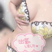 ヒメ日記 2025/08/17 15:03 投稿 マリ SCREEN(スクリーン)